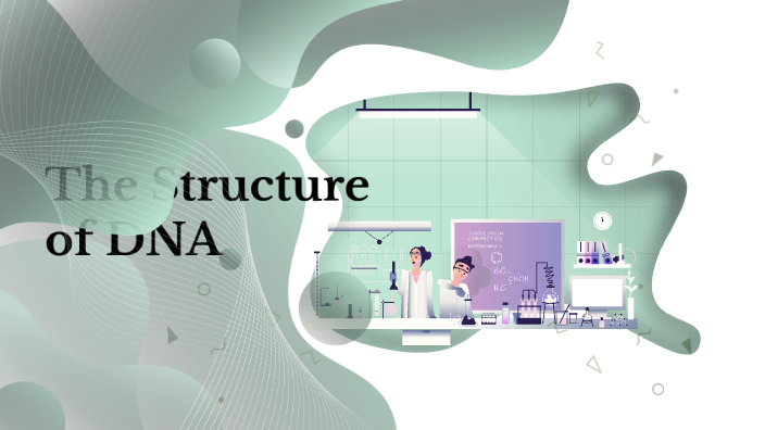 The Structure of DNA by Tina Vu on Prezi