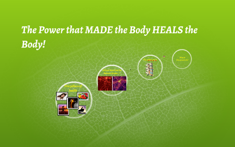 Five pillars of health by Francesco Ferrero on Prezi