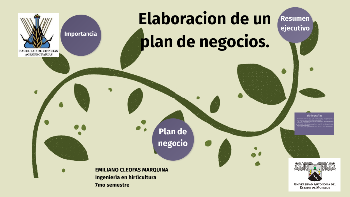 Elaboración de un plan de negocios by Emiliano Marquina on Prezi