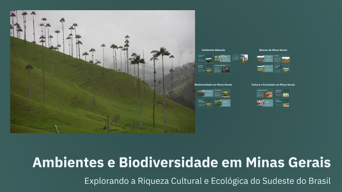 Ambientes, Biomas, Biodiversidade e Cultura no Sudeste do Brasil by ...