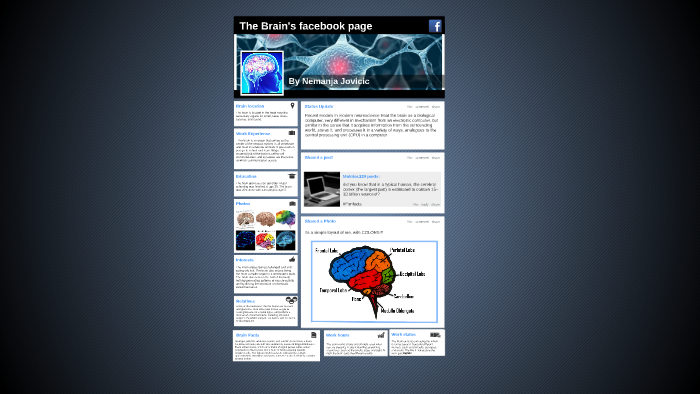 The Brain by Nemanja J. on Prezi