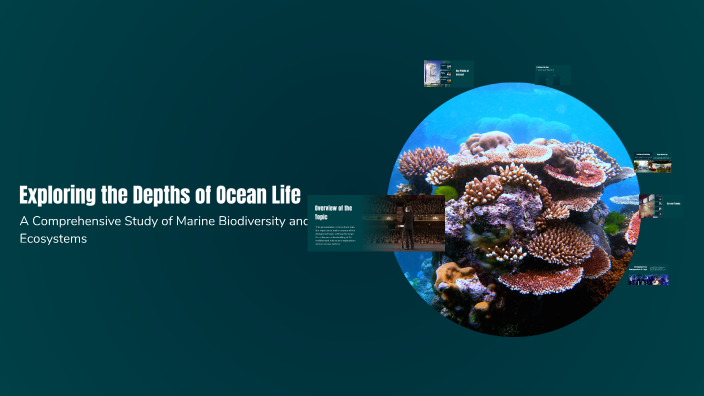 Exploring the Depths of Ocean Life by Francis Hernandez on Prezi