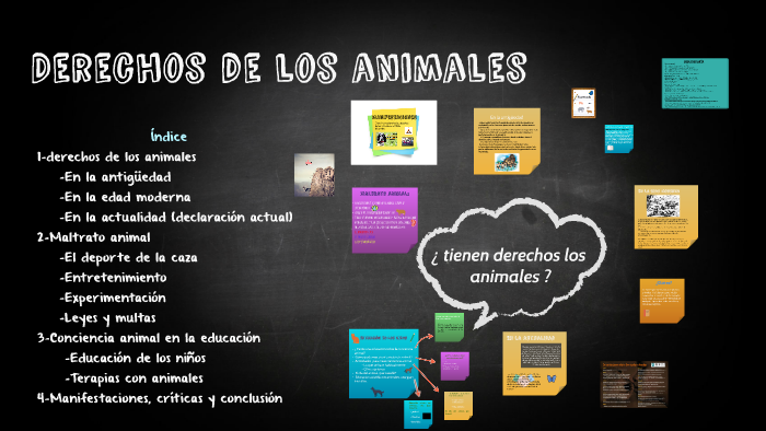 Derechos de los animales by violeta sánchez burgos on Prezi