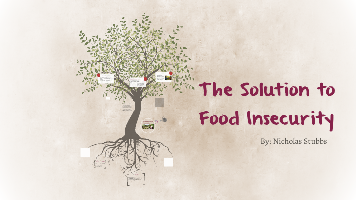 food insecurity solutions essay