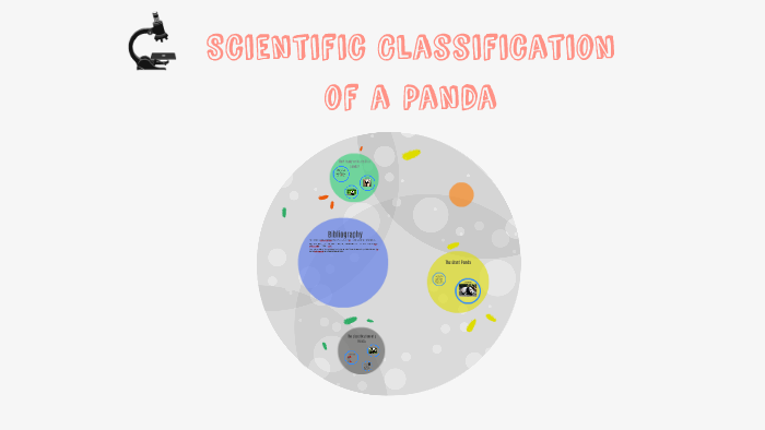 Scientific Classification of a Panda by Josie Straface on Prezi