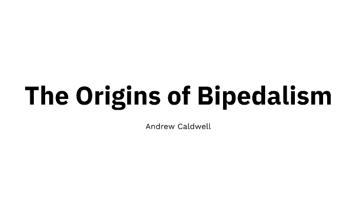Bipedalism by Drew Caldwell on Prezi