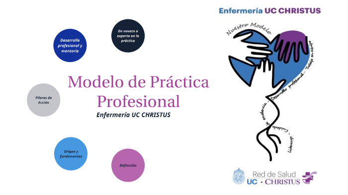 Modelo de Práctica Profesional by viviana silva on Prezi