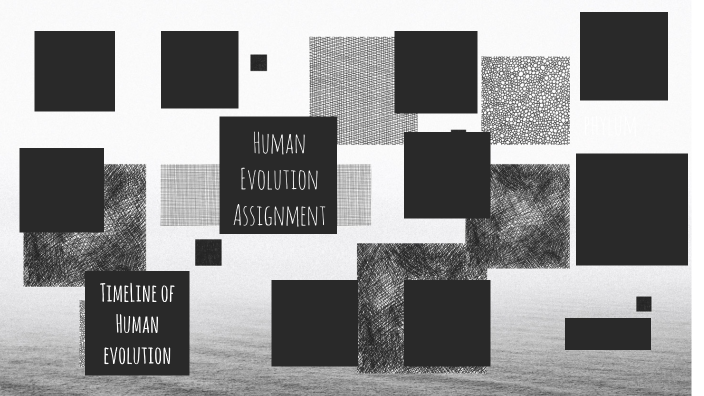 Human Evolution by Hannah Neal on Prezi