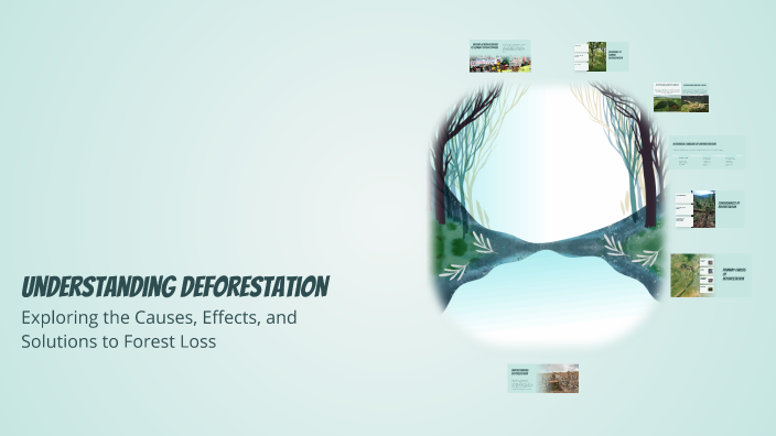 Understanding Deforestation by Maaz Hussain on Prezi