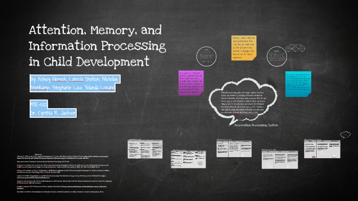 information processing child development