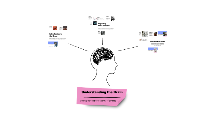 Understanding the Brain by Anjali Kapoor on Prezi