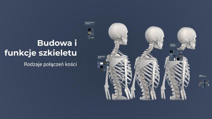 Budowa i funkcje szkieletu by Artur Laska on Prezi