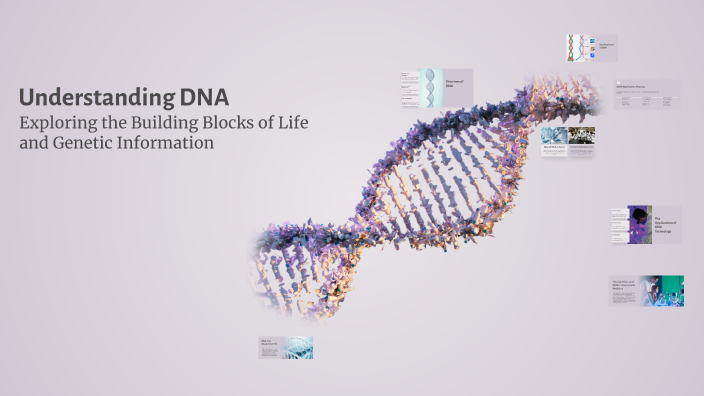 Understanding DNA by Ma Ismaili on Prezi