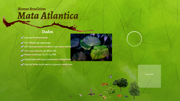 Biomas Brasileiros by Guilherme Calado on Prezi