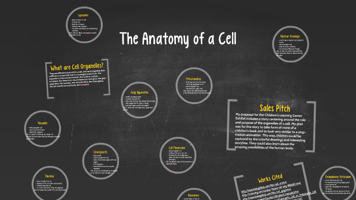 The Anatomy of a Cell by on Prezi