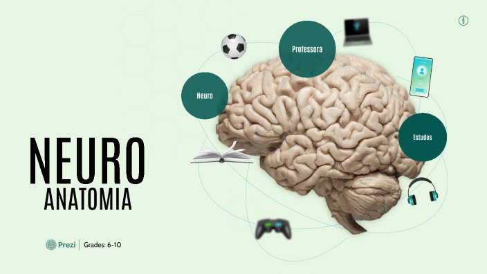 Neuroanato by Stefanie Spindler on Prezi