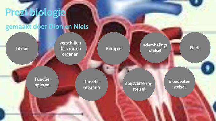 biologie spieren klas 2cb by Niels Dragt on Prezi