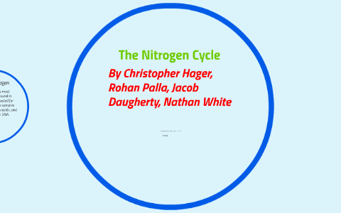 The Nitrogen Cycle by rohan palla on Prezi