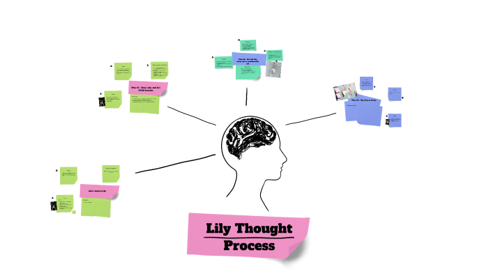 Lily Mind Map by Lily Ross on Prezi