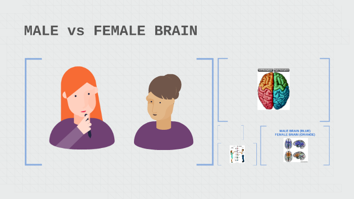 MALE AND FEMALE BRAINS by CORAL COSTA CANAL on Prezi