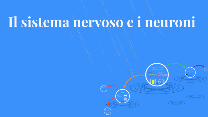 Il sistema nervoso e i neuroni by christian cirulli on Prezi