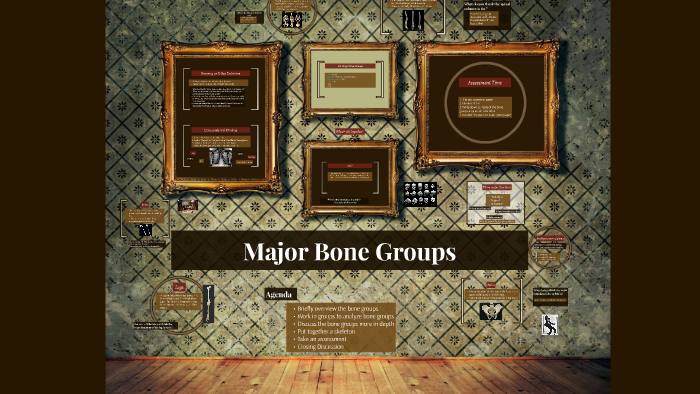 Major Bone Groups by Shana Dietrich on Prezi