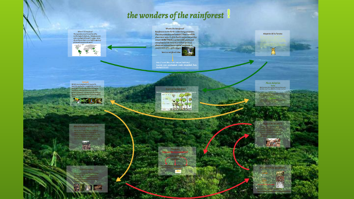 the wonders of the rainforest by habib by Botanic Primary on Prezi