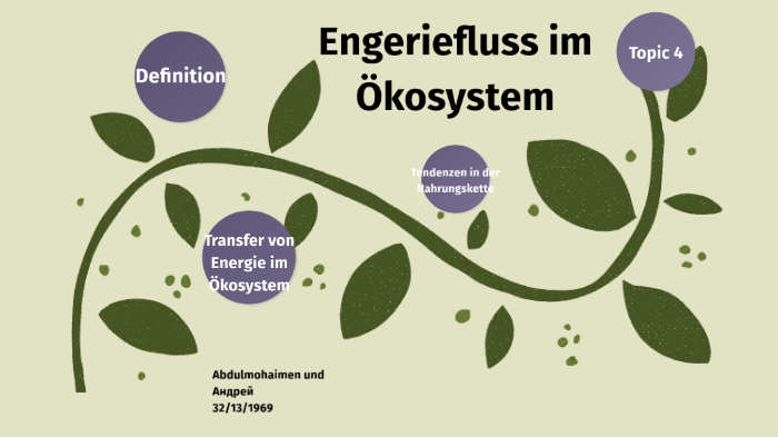 Energiefluss im Ökosystem by Peter Moorstein on Prezi