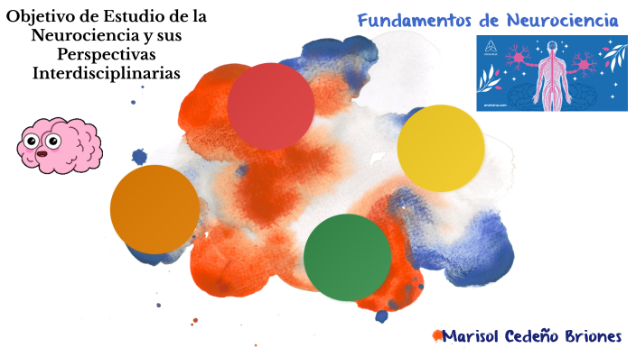 Metodo De Estudio De La Neurociencia prezi.com