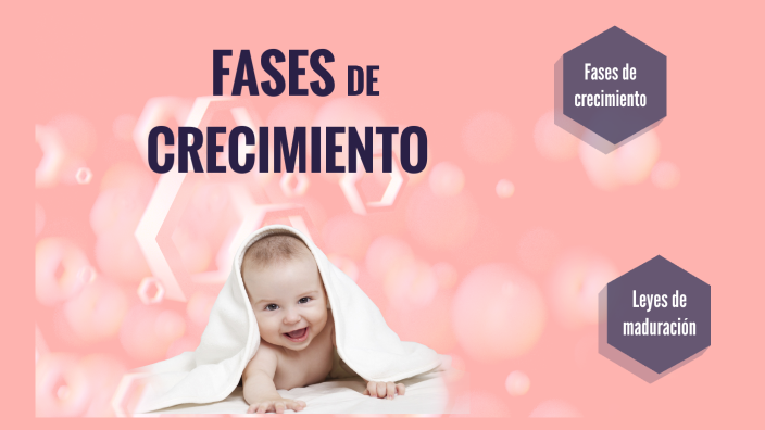 Fases de crecimiento by Ana Chamizo on Prezi