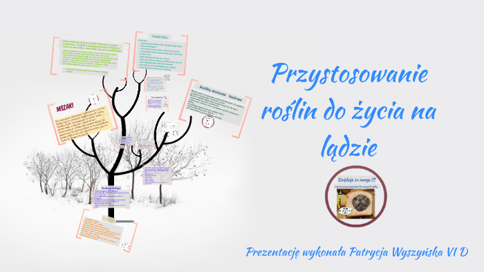 Przystosowanie roślin do życia na lądzie by Patrycja Yumi on Prezi