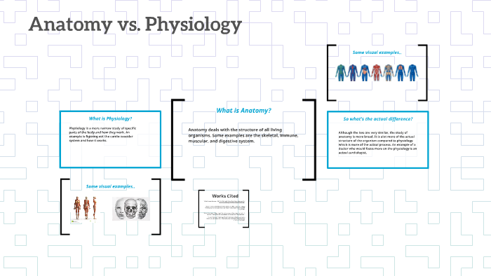 Anatomy vs. Physiology by Sierra Wainright on Prezi