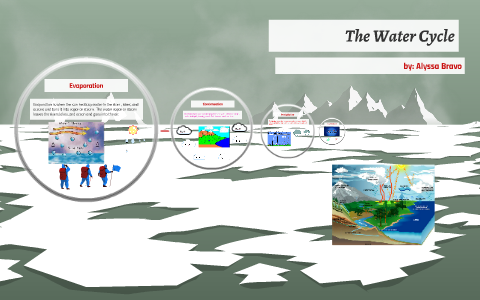 the water cycle by alyssa bravo on Prezi