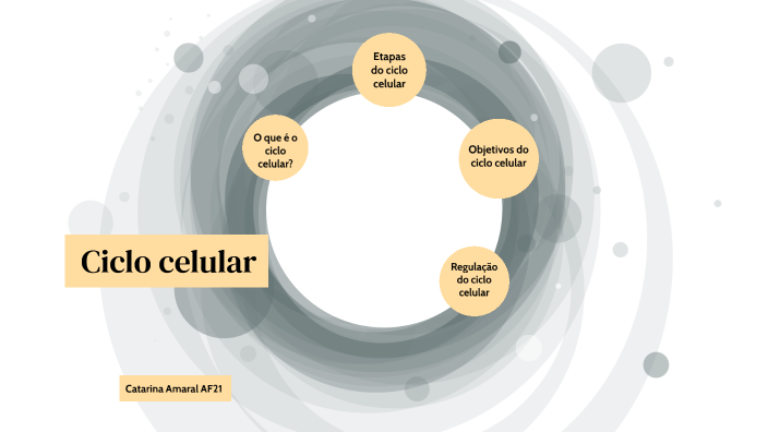 Ciclo celular by Catarina Amaral on Prezi