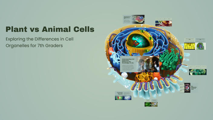 Plant vs Animal Cells by Nykah Smith on Prezi