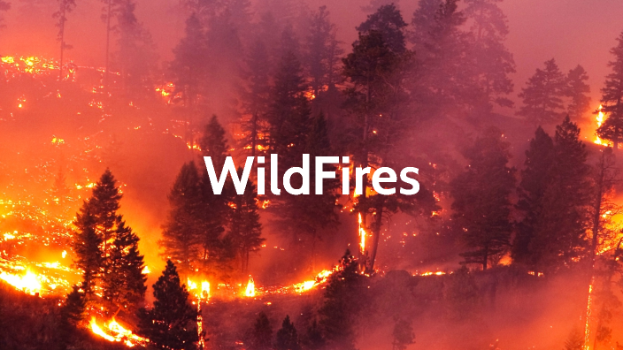 Wildfire Photo essay by Teagan Maloney