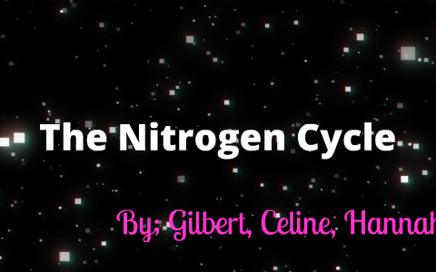 Nitrogen Cycle by Hannah Sowers on Prezi