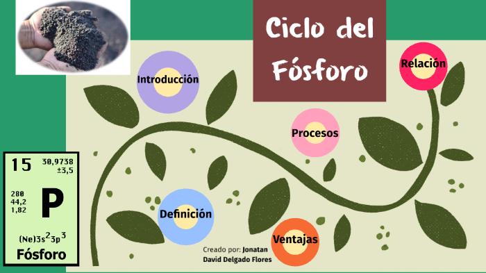 Ciclo Biogeoquimico Del Fósforo By David Jonatan On Prezi 3667