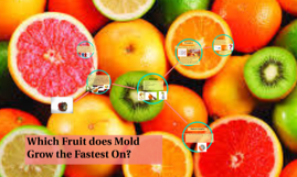 Which Fruit Does Mold Grow The Fastest On By Olivia Vanderbeek