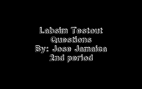 Chapter 3 Testout Labsim Questions by Jose Jamaica on Prezi