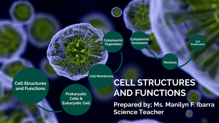 Cell Structure and Function by Manilyn Ibarra on Prezi