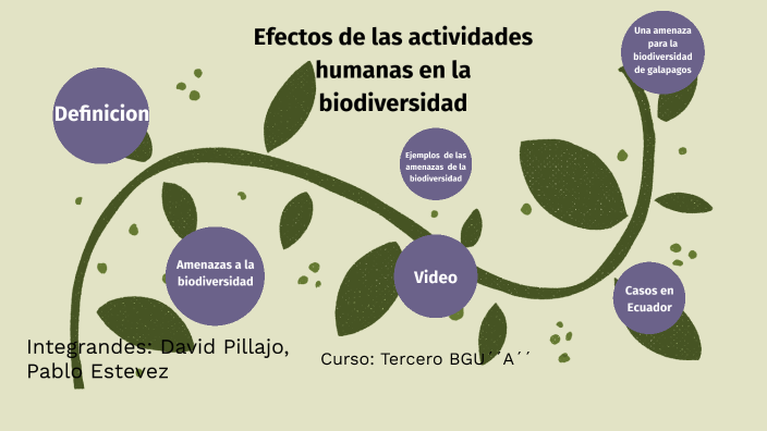 Efectos De Las Actividades Humanas En La Biodiversidad By Pablo Israel Estevez Andrade On Prezi 