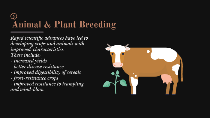Animal and Plant Breeding by kaitlyn carpani