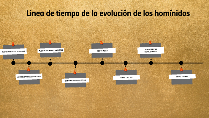 Linea de tiempo de la evolucion de los hominidos by Brenda Camila