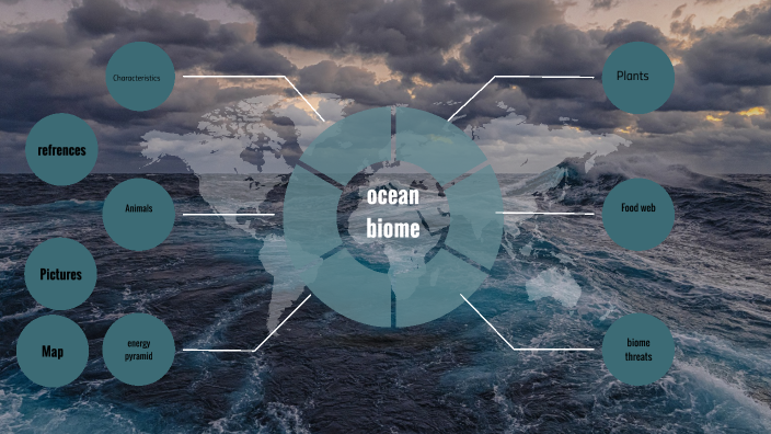 The ocean by ALIZEE LEMUS on Prezi