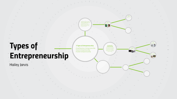 Types of Entrepreneurship by Hailey Jarvis on Prezi
