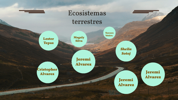 Ecosistema — Tierra Firme