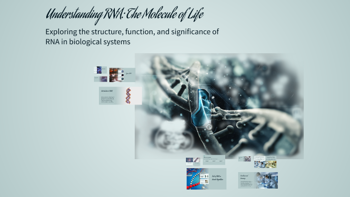 Understanding RNA: The Molecule of Life by Mohammad Rabah on Prezi