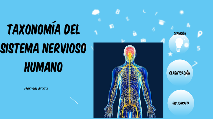 Taxonomía del sistema nervioso humano by Nicole Aguiar on Prezi