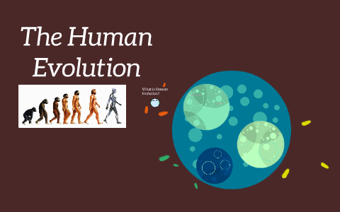 Human Evolution by Kari Dow on Prezi